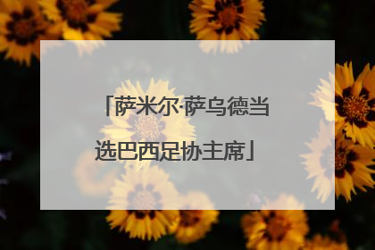 萨米尔·萨乌德当选巴西足协主席