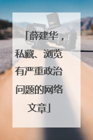 薛建华，私藏、浏览有严重政治问题的网络文章