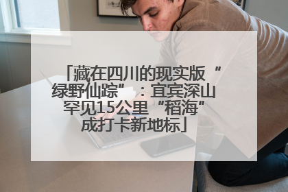 藏在四川的现实版“绿野仙踪”：宜宾深山罕见15公里“稻海”成打卡新地标