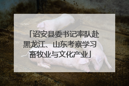诏安县委书记率队赴黑龙江、山东考察学习畜牧业与文化产业