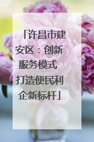 许昌市建安区：创新服务模式 打造便民利企新标杆