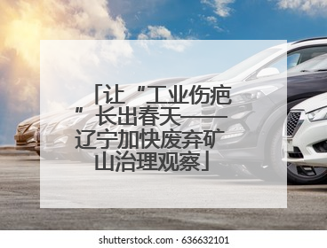 让“工业伤疤”长出春天——辽宁加快废弃矿山治理观察