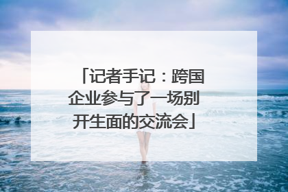 记者手记：跨国企业参与了一场别开生面的交流会