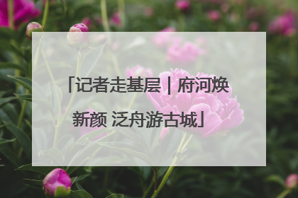 记者走基层｜府河焕新颜 泛舟游古城