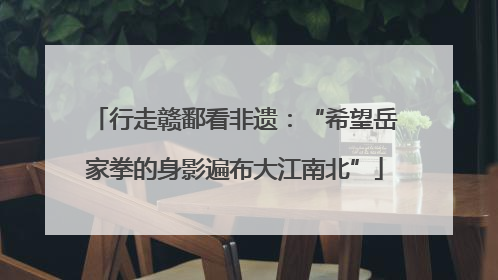 行走赣鄱看非遗：“希望岳家拳的身影遍布大江南北”