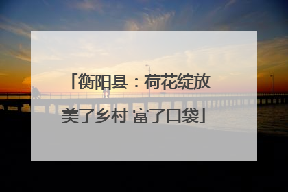 衡阳县：荷花绽放 美了乡村 富了口袋