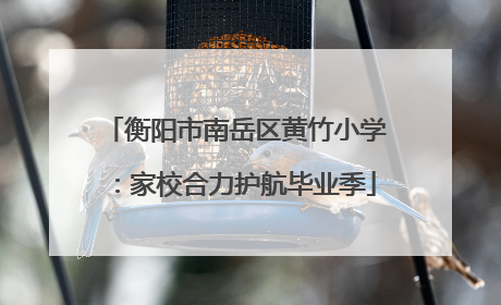 衡阳市南岳区黄竹小学：家校合力护航毕业季