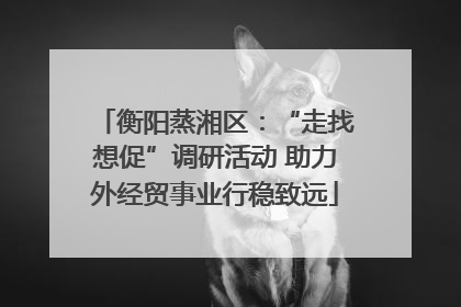 衡阳蒸湘区：“走找想促”调研活动 助力外经贸事业行稳致远