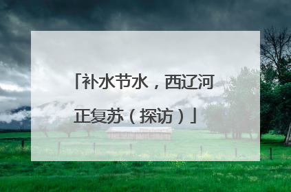 补水节水，西辽河正复苏（探访）