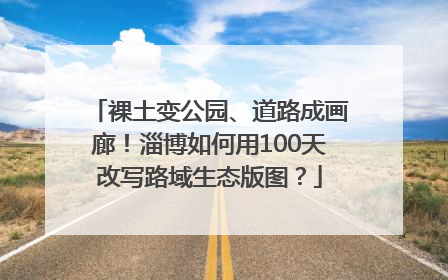 裸土变公园、道路成画廊！淄博如何用100天改写路域生态版图？