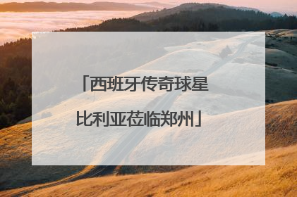 西班牙传奇球星 比利亚莅临郑州