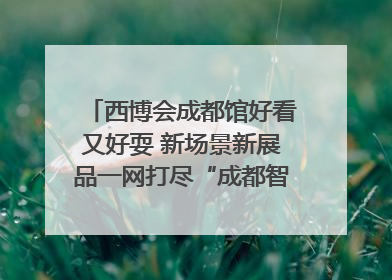 西博会成都馆好看又好耍 新场景新展品一网打尽“成都智造”｜西博视界