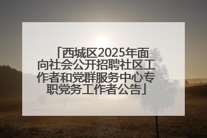西城区2025年面向社会公开招聘社区工作者和党群服务中心专职党务工作者公告