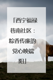 西宁福禄巷南社区：粽香传廉韵 党心映端阳
