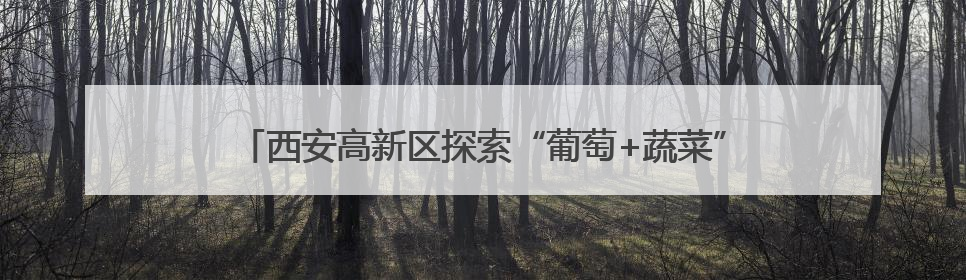 西安高新区探索“葡萄+蔬菜”套种模式 实现生态与效益双赢