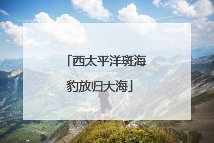 西太平洋斑海豹放归大海