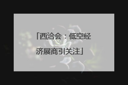 西洽会：低空经济展商引关注