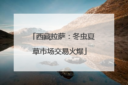 西藏拉萨：冬虫夏草市场交易火爆