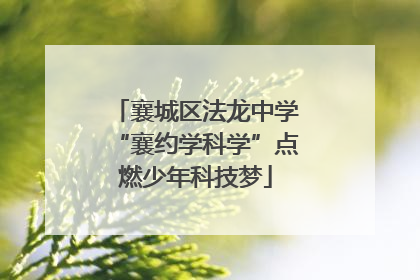襄城区法龙中学“襄约学科学”点燃少年科技梦