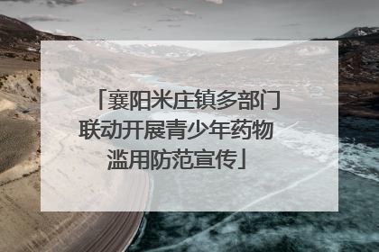 襄阳米庄镇多部门联动开展青少年药物滥用防范宣传