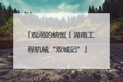 观潮的螃蟹丨湖南工程机械“双城记”