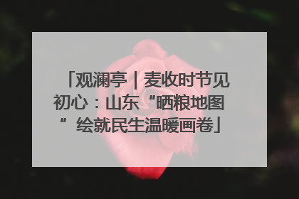 观澜亭｜麦收时节见初心：山东“晒粮地图”绘就民生温暖画卷