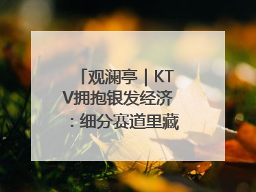 观澜亭｜KTV拥抱银发经济：细分赛道里藏着潜在需求