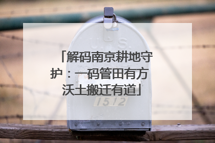 解码南京耕地守护：一码管田有方 沃土搬迁有道