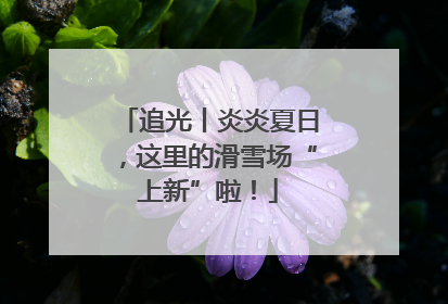 追光丨炎炎夏日，这里的滑雪场“上新”啦！