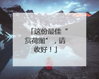 这份最佳“赏荷图”，请收好！