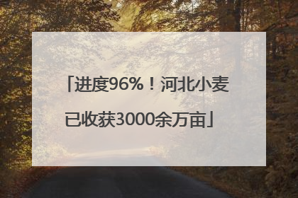 进度96%！河北小麦已收获3000余万亩