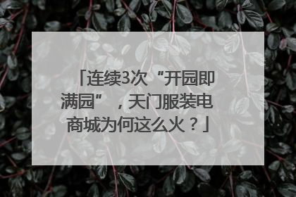 连续3次“开园即满园”，天门服装电商城为何这么火？