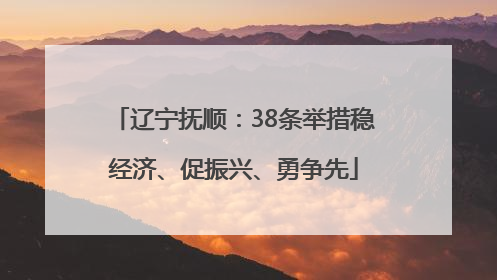 辽宁抚顺：38条举措稳经济、促振兴、勇争先