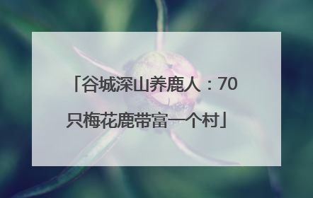 谷城深山养鹿人：70只梅花鹿带富一个村