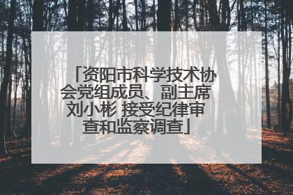 资阳市科学技术协会党组成员、副主席刘小彬 接受纪律审查和监察调查