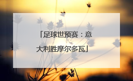 足球世预赛：意大利胜摩尔多瓦