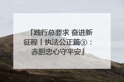 践行总要求 奋进新征程丨执法公正篇③：赤胆忠心守平安