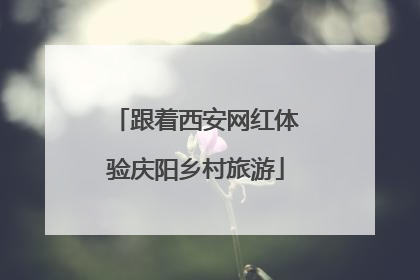 跟着西安网红体验庆阳乡村旅游