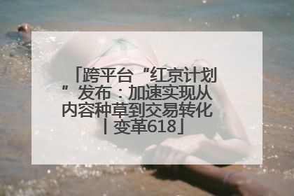跨平台“红京计划”发布：加速实现从内容种草到交易转化丨变革618