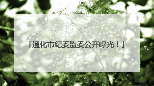 通化市纪委监委公开曝光！
