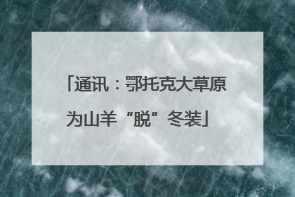 通讯：鄂托克大草原为山羊“脱”冬装