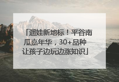 遛娃新地标！平谷南瓜嘉年华，30+品种让孩子边玩边涨知识