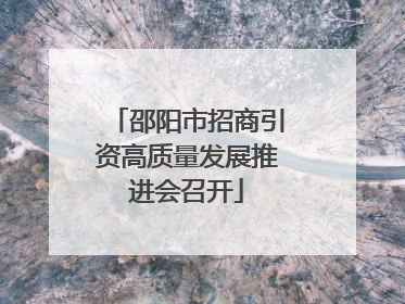 邵阳市招商引资高质量发展推进会召开