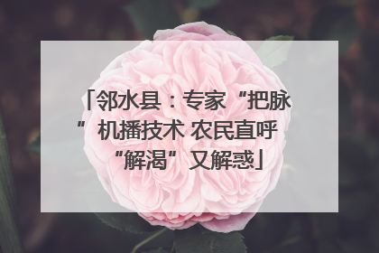 邻水县：专家“把脉”机播技术 农民直呼“解渴”又解惑