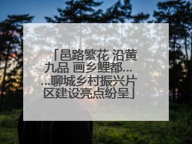 邑路繁花 沿黄九品 画乡鲤都……聊城乡村振兴片区建设亮点纷呈