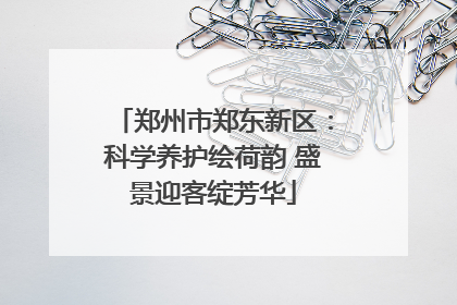 郑州市郑东新区：科学养护绘荷韵 盛景迎客绽芳华