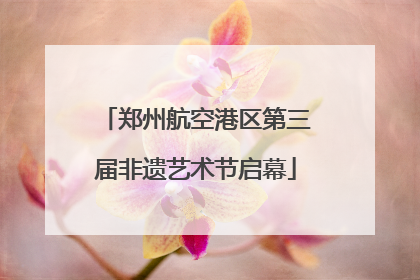 郑州航空港区第三届非遗艺术节启幕
