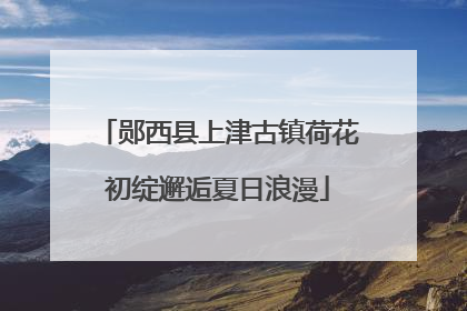 郧西县上津古镇荷花初绽邂逅夏日浪漫