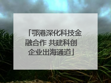 鄂港深化科技金融合作 共建科创企业出海通道