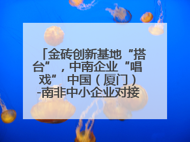 金砖创新基地“搭台”，中南企业“唱戏” 中国（厦门）-南非中小企业对接会在厦举办